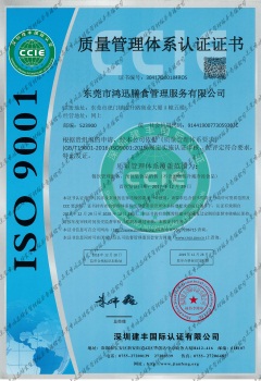 ISO9001国际质量保证体系-中文版